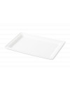FIBRA RECTANGULAR PLATE 280