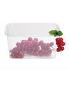 CONTAINER 55CL + LID