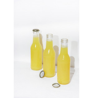 GINTO BOTTLE 20CL