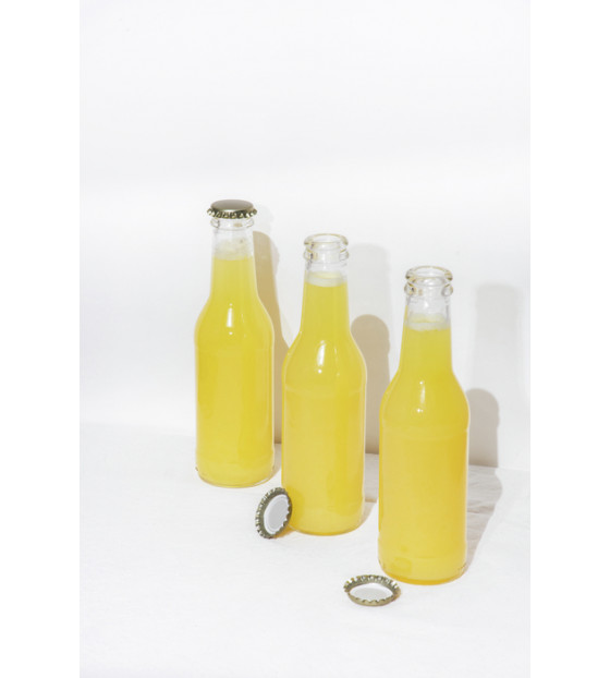 GINTO BOTTLE 20CL