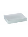 SILVER CATERING CASE