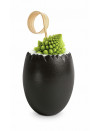 BLACK OVEO 5CL