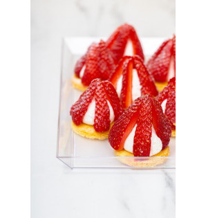 CRYSTAL CUBIK ATLAS TRAY 1/2