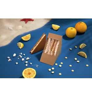 CLUB SANDWICH BOX PET WINDOW