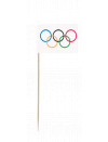 OLYMPIC FLAG STICK