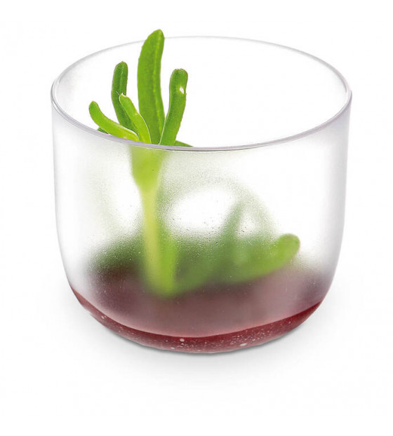 GIRO FROSTED VERRINE 6CL