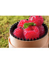 WOODBOX 5 CL (BASE + BLACK PET BAKING CUP + LID)
