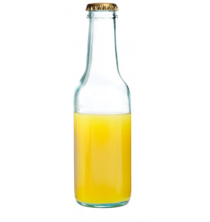 GINTO BOTTLE 20CL