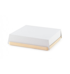 MADERA TRAY 240