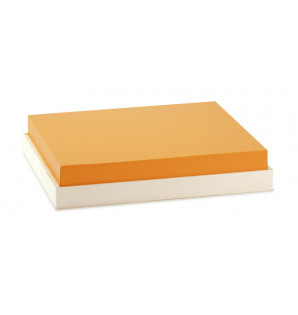 MANDARINE LID FOR THEMA MEAL TRAY