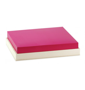 BLACK/FUCHSIA LID FOR THEMA MEAL TRAY